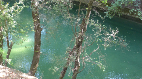 photo 1277700