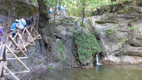 photo 1277713