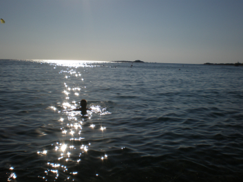 photo 1282850
