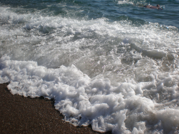 photo 1282852