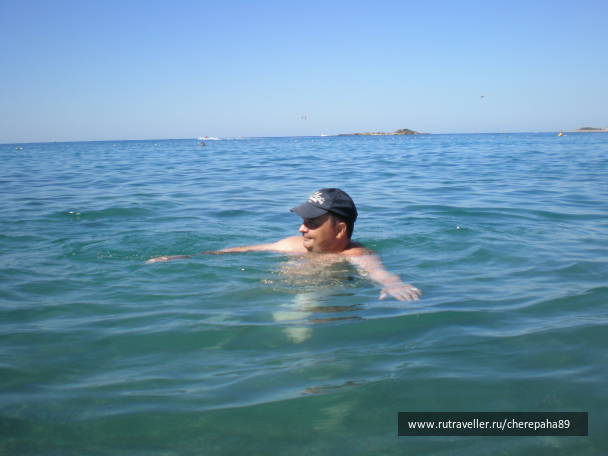 photo 1282865