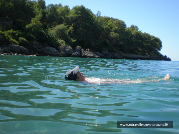 photo 1336372