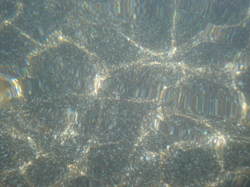 photo 1336379