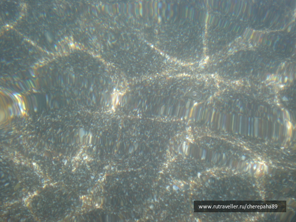 photo 1336379