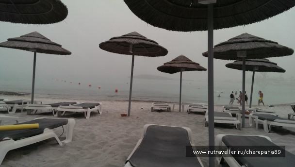 photo 1309268