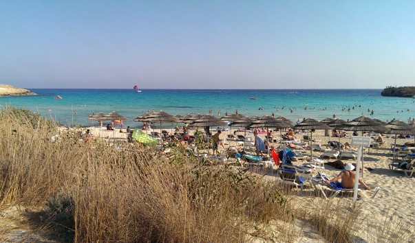 IMAG0875