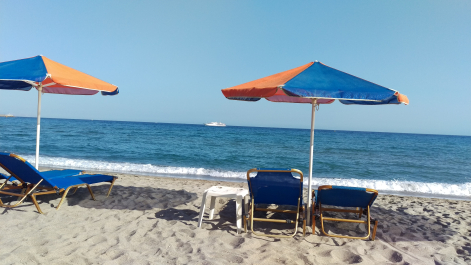 photo 1559850