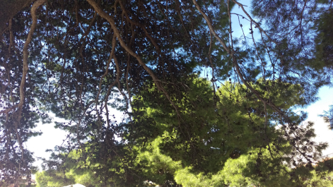 photo 1682235