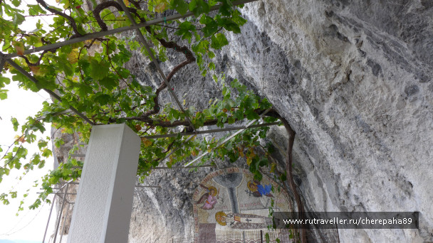 photo 1681115