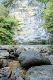 photo 1384579