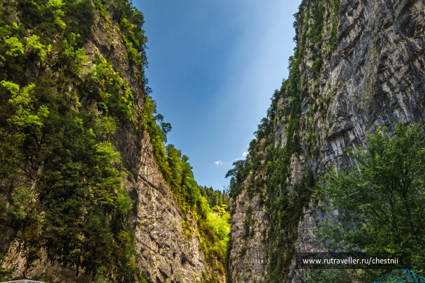 photo 1569405