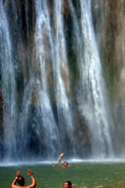 photo 221632