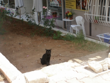 photo 946976