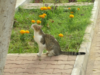 photo 946992