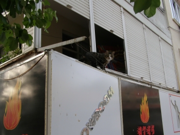 photo 946995