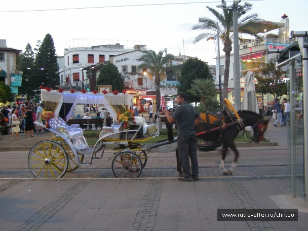 photo 947181