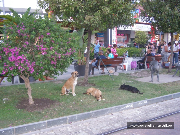 photo 947185