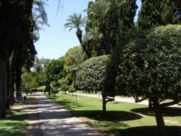 photo 947273