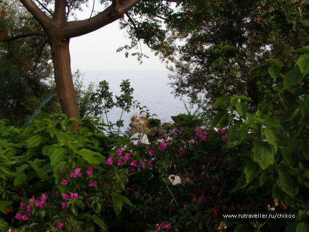 photo 947286