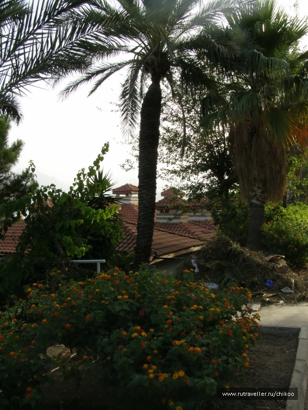 photo 947298