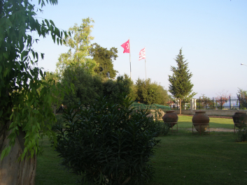 photo 1127460
