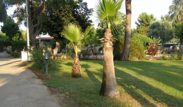 P7280333