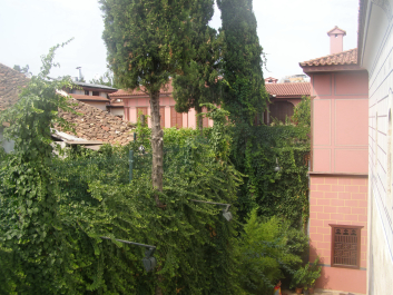 photo 1142140