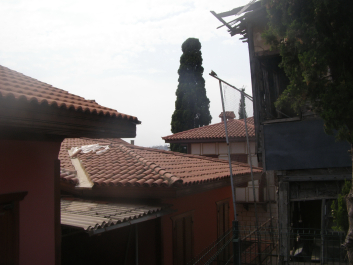 photo 1142145