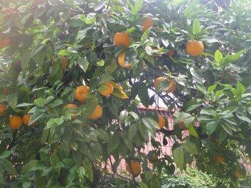 photo 1142163