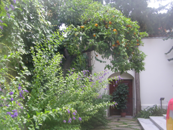 photo 1142164