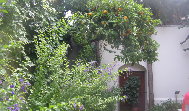 P7260429
