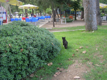 photo 1224445