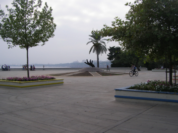 photo 1224449