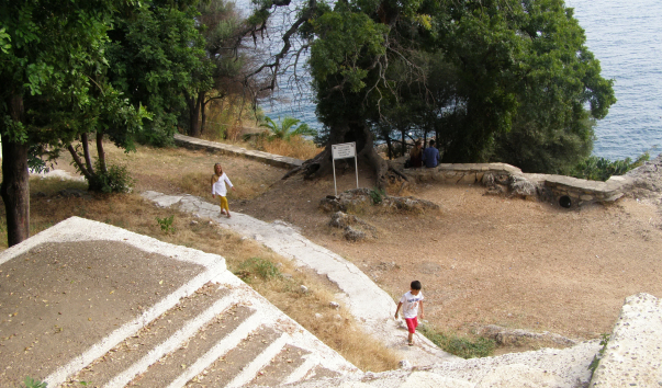 P7311532