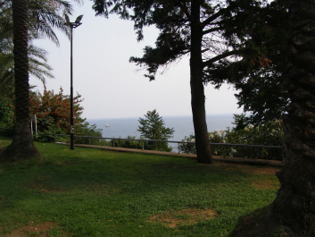 photo 1224455