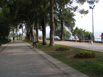 photo 1224456