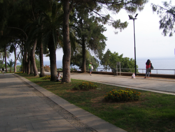photo 1224457