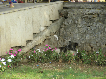 photo 1224460