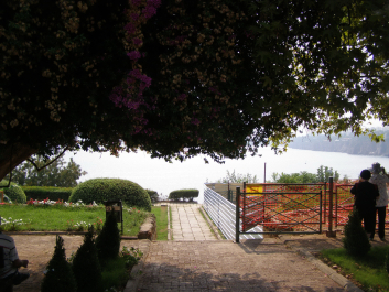 photo 1224461