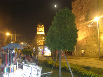 photo 1224464