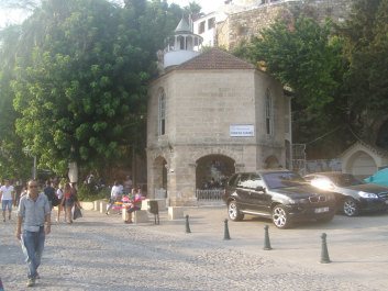 photo 1224478