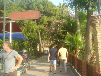 photo 1224483