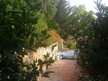 photo 1224488