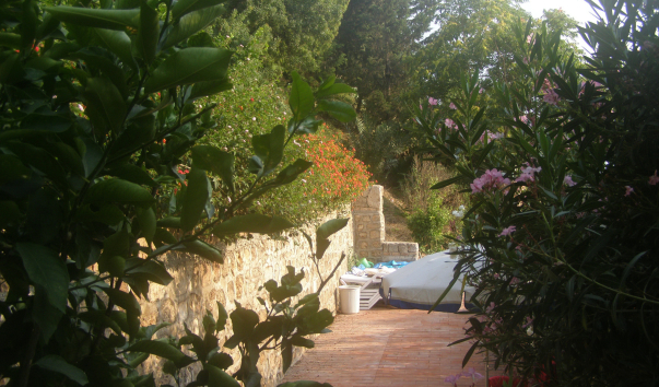 P7250605