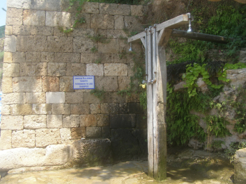 photo 1224491