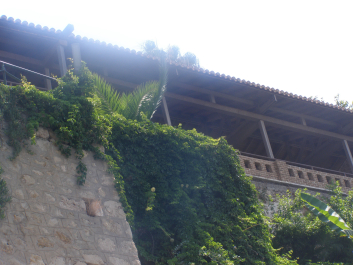 photo 1224514