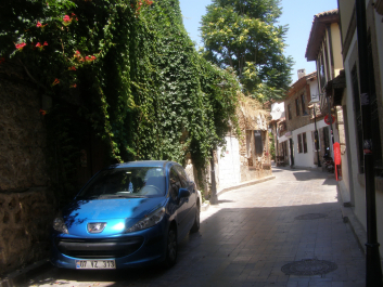 photo 1226054
