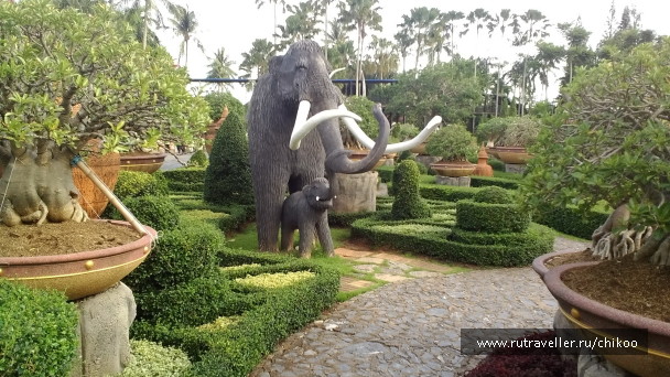 photo 1340514