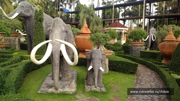 photo 1340521