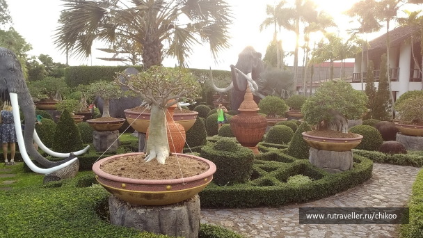 photo 1340522